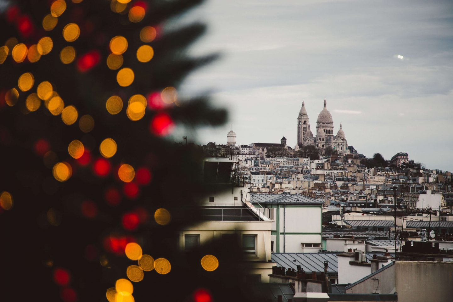 A photo of a Christmas tree in the forefront with Paris scenery in the background