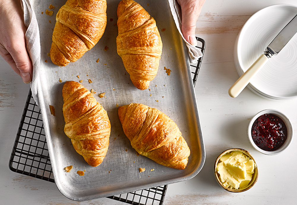 An overhead photo of four croissants on a baking tray being held by a pair of hands with a tea towel